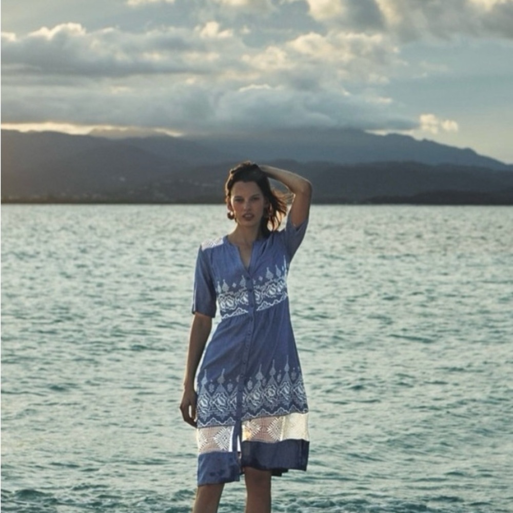 Anthropologie Moulinette Soeurs Blue and White Embroidered Waters Midi Dress Sz4 - Picture 10 of 10
